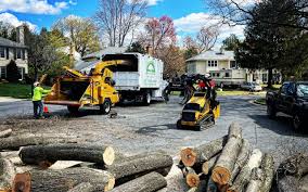 Best Arborist Consultation Services  in University Center, VA